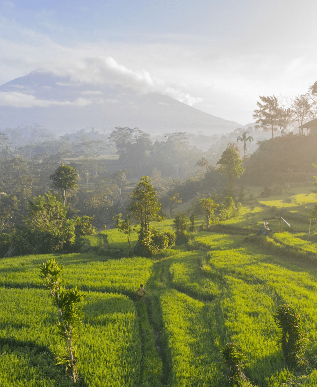 indonesia