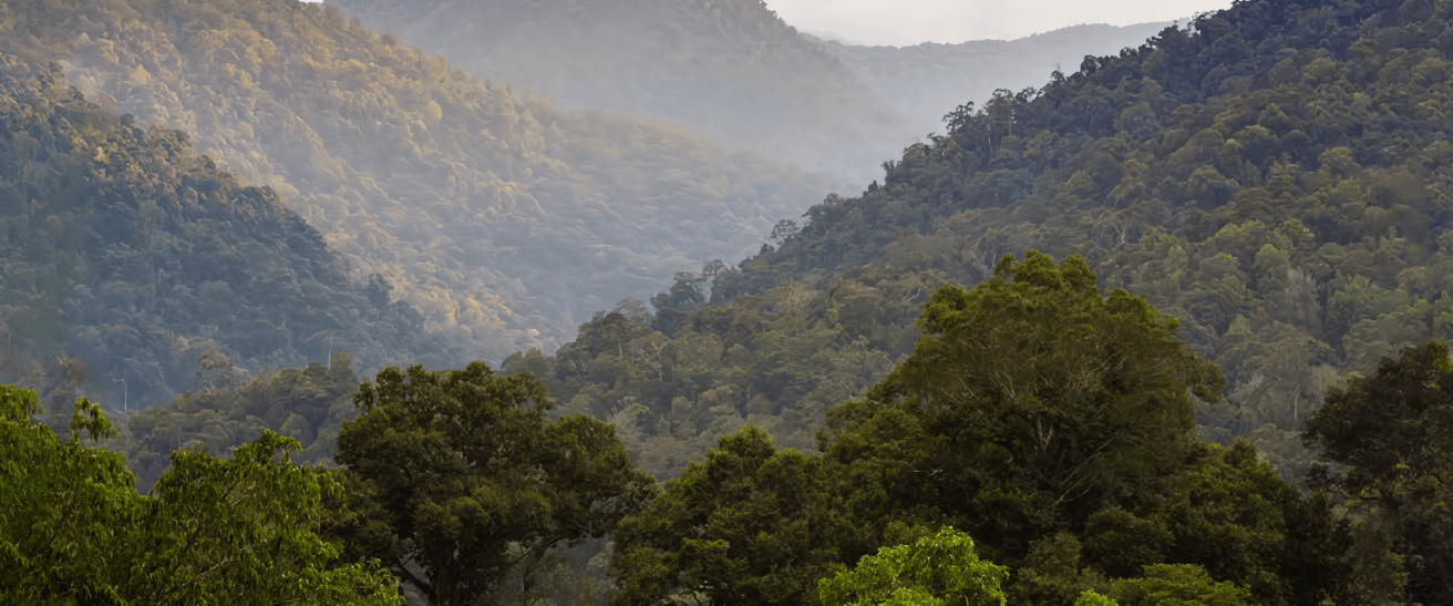 sumatra